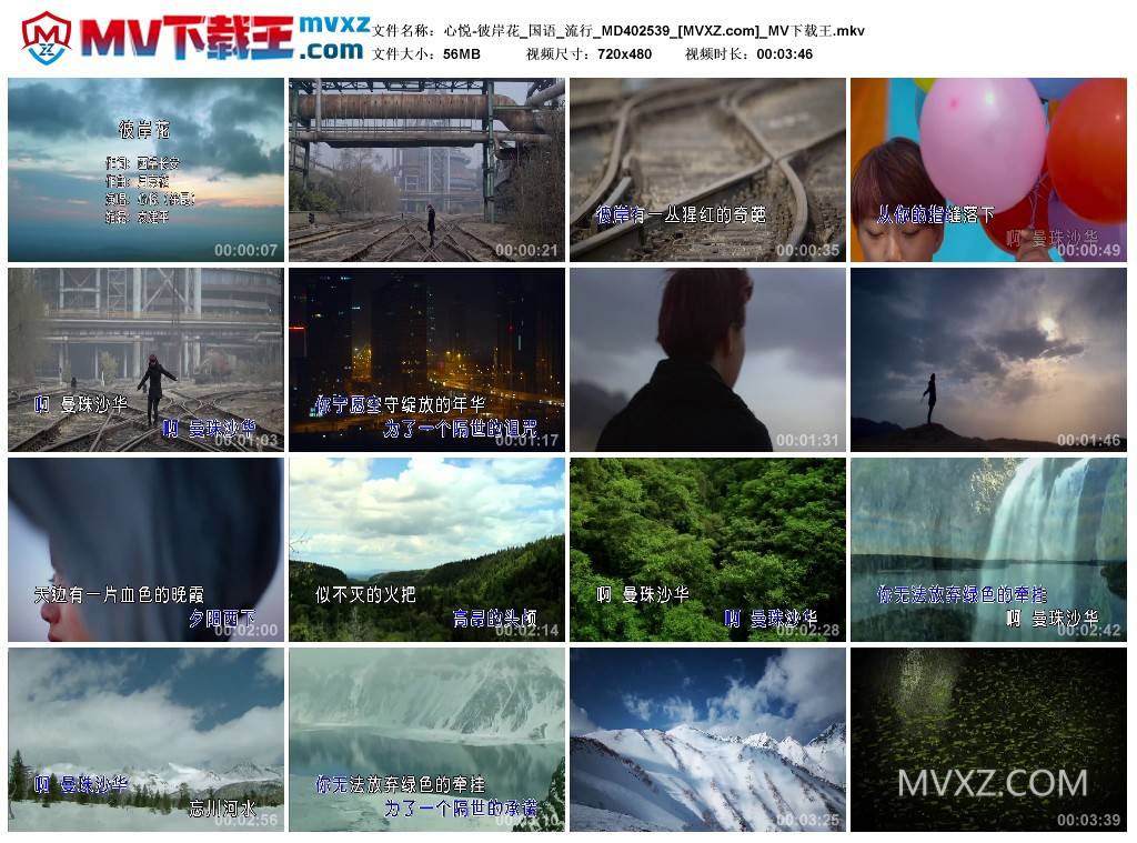 心悦-彼岸花_国语_流行_MD402539